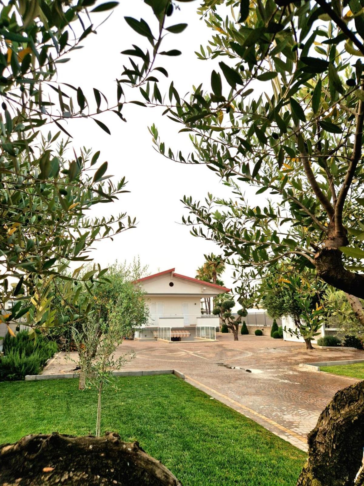 سكافاتي Corte D'Aniello المظهر الخارجي الصورة